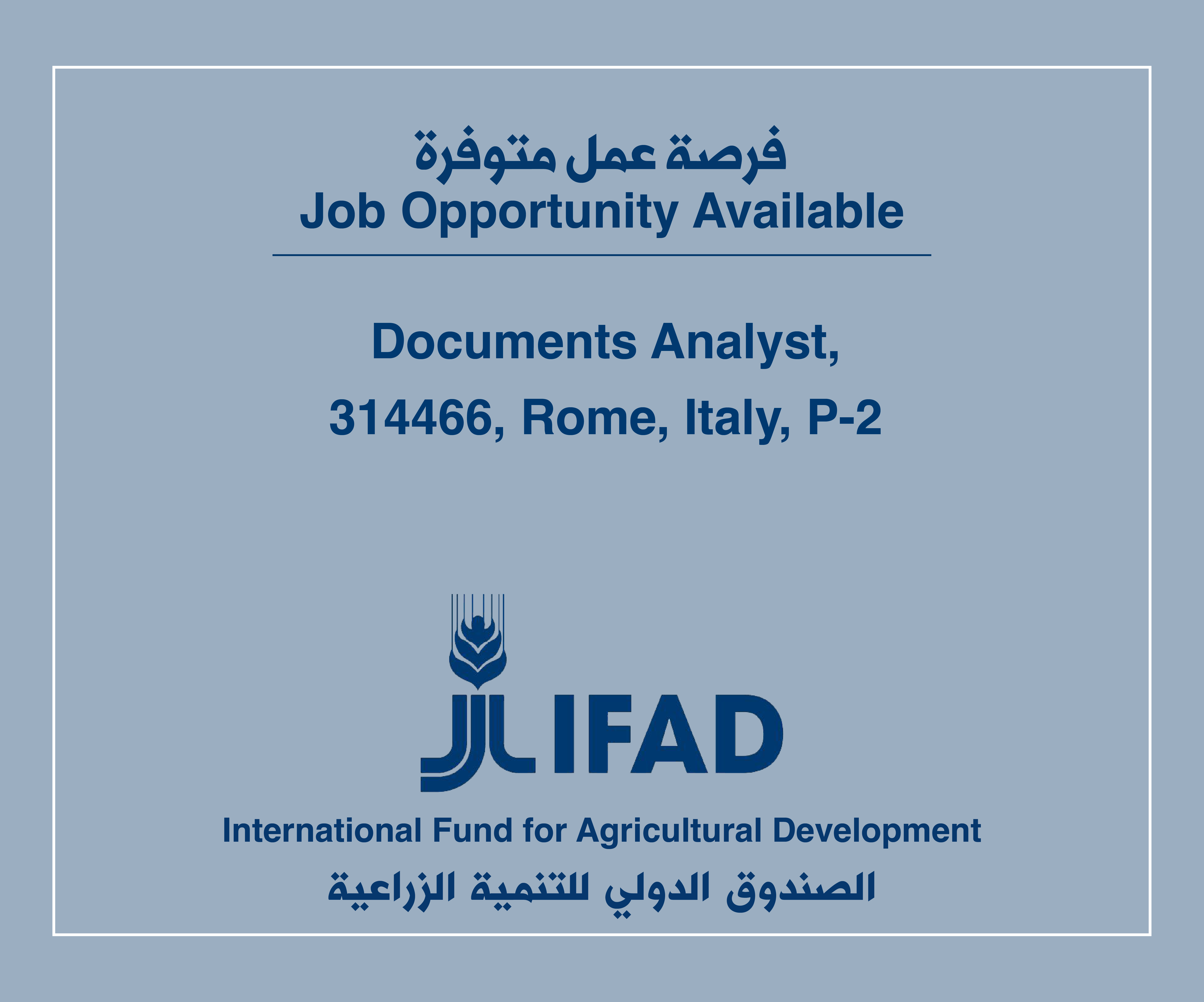 Job Vacancy in IFAD
