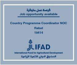 Job Opportunity at IFAD 19414